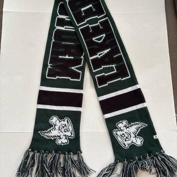 47 Brand Lake Erie Storm College Scarf - Picture 3 of 3